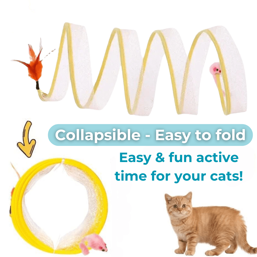 WhiskerWander™ — Ignite Your Cat’s Wild Play and Peaceful Home in Seconds