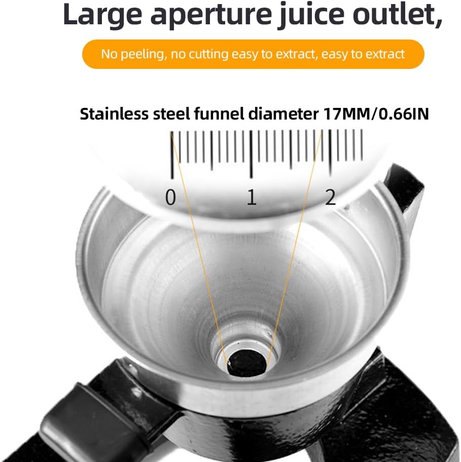 Citrus Juicer – Extract Every Last Drop of Juicy Freshness