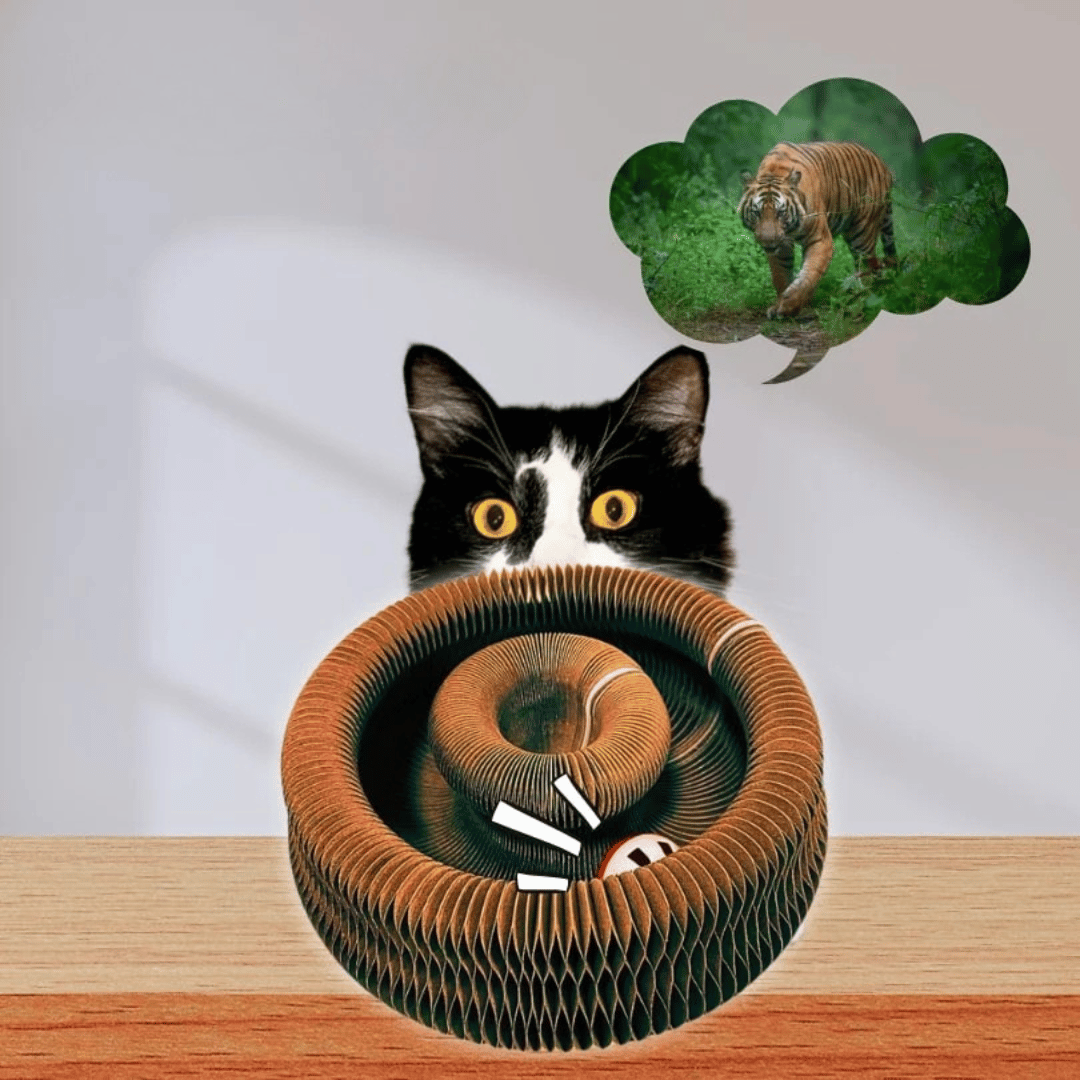 WhiskerWhirl™ — Turn Restless Paws Into Pure, Unstoppable Play Joy