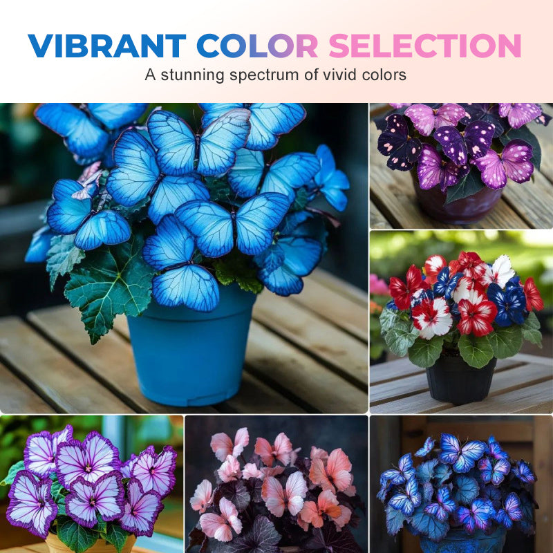 FlutterMuse™ Butterfly Bloom Seeds — Transform Your Garden into a Magical Butterfly Wonderland