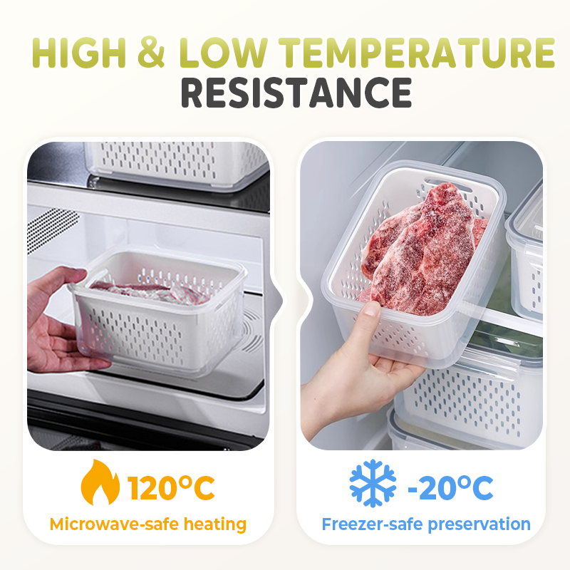 Freshness Container – Feel the Freshness and Extend Food Life