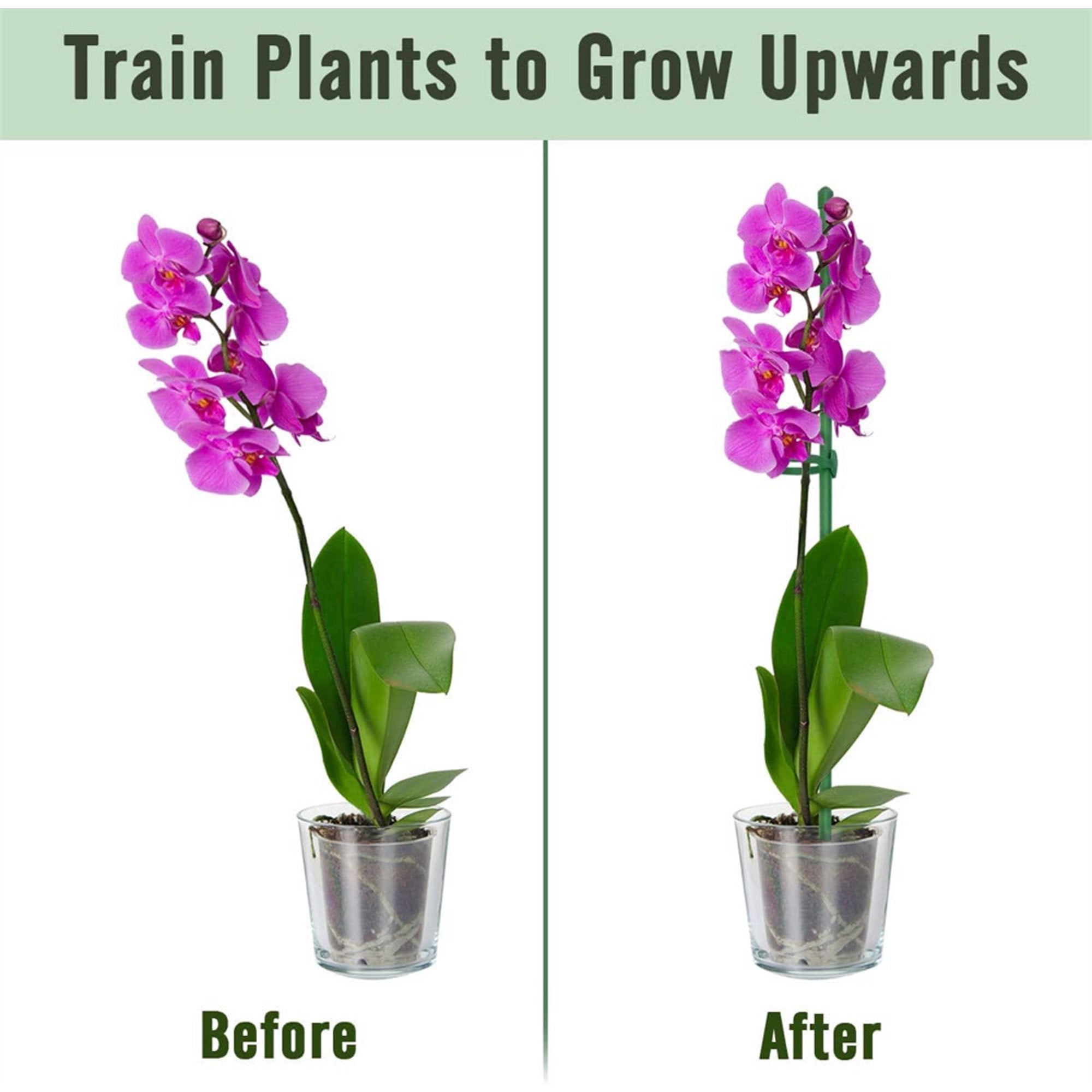 VerdantaGuard™ — Unbreakable Support That Transforms Plants Into Proud Garden Masterpieces