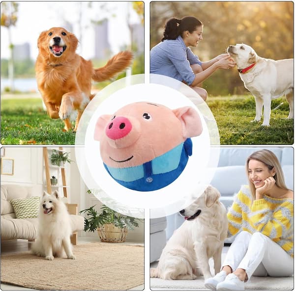 PouncePal™ — Unleash Endless Play and Calm Your Dog’s Wild Side