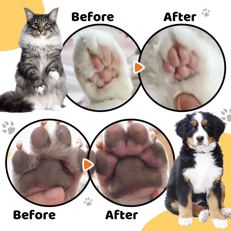 FurMaster™ — Unlock Effortless Luxury and Timeless Care