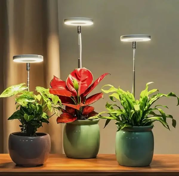 Plant Lamp | Full Spectrum Growing Light | Timer and Brightness Control | PlantGlow
