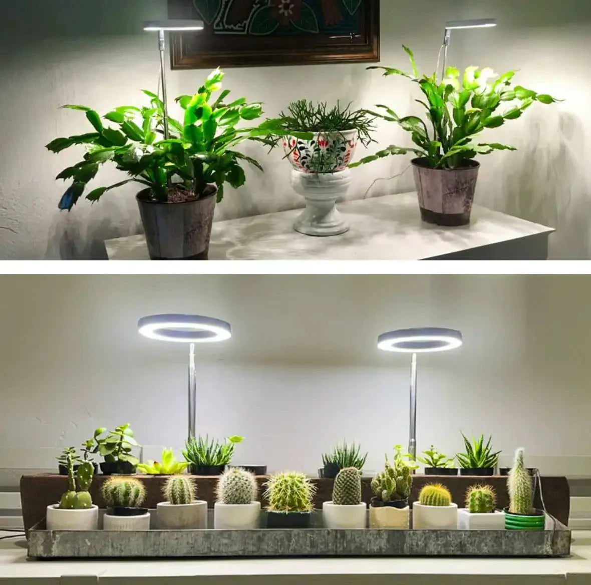 Plant Lamp | Full Spectrum Growing Light | Timer and Brightness Control | PlantGlow