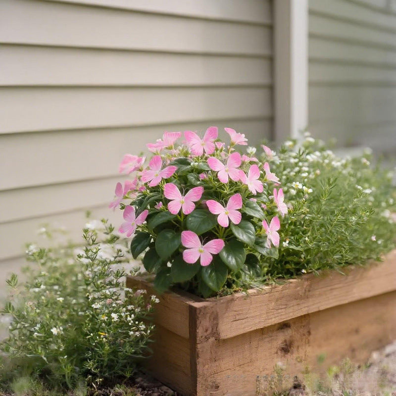 FlutterMuse™ Butterfly Bloom Seeds — Transform Your Garden into a Magical Butterfly Wonderland