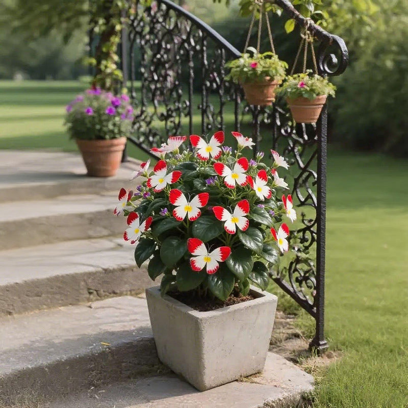 FlutterMuse™ Butterfly Bloom Seeds — Transform Your Garden into a Magical Butterfly Wonderland