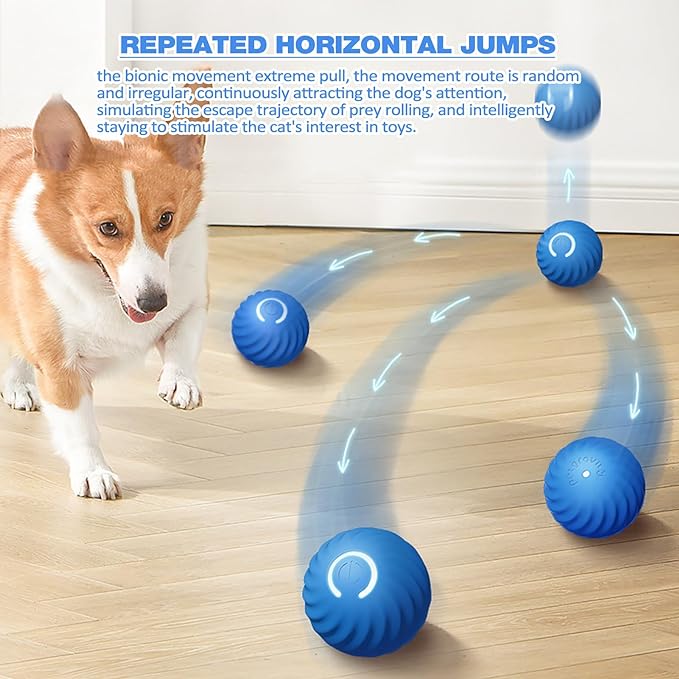 VitaPounce™ — Ignite Your Dog’s Wild Instincts with Endless, Hands-Free Play