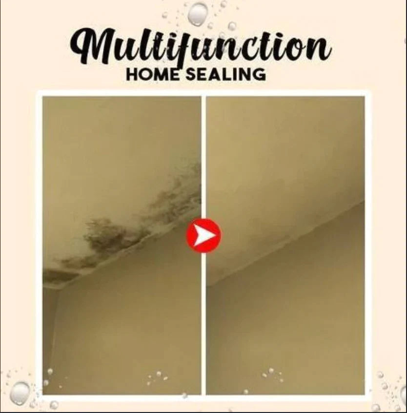 SealGuard™ — Lock Out Leaks Fast and Shield Your Home for Good