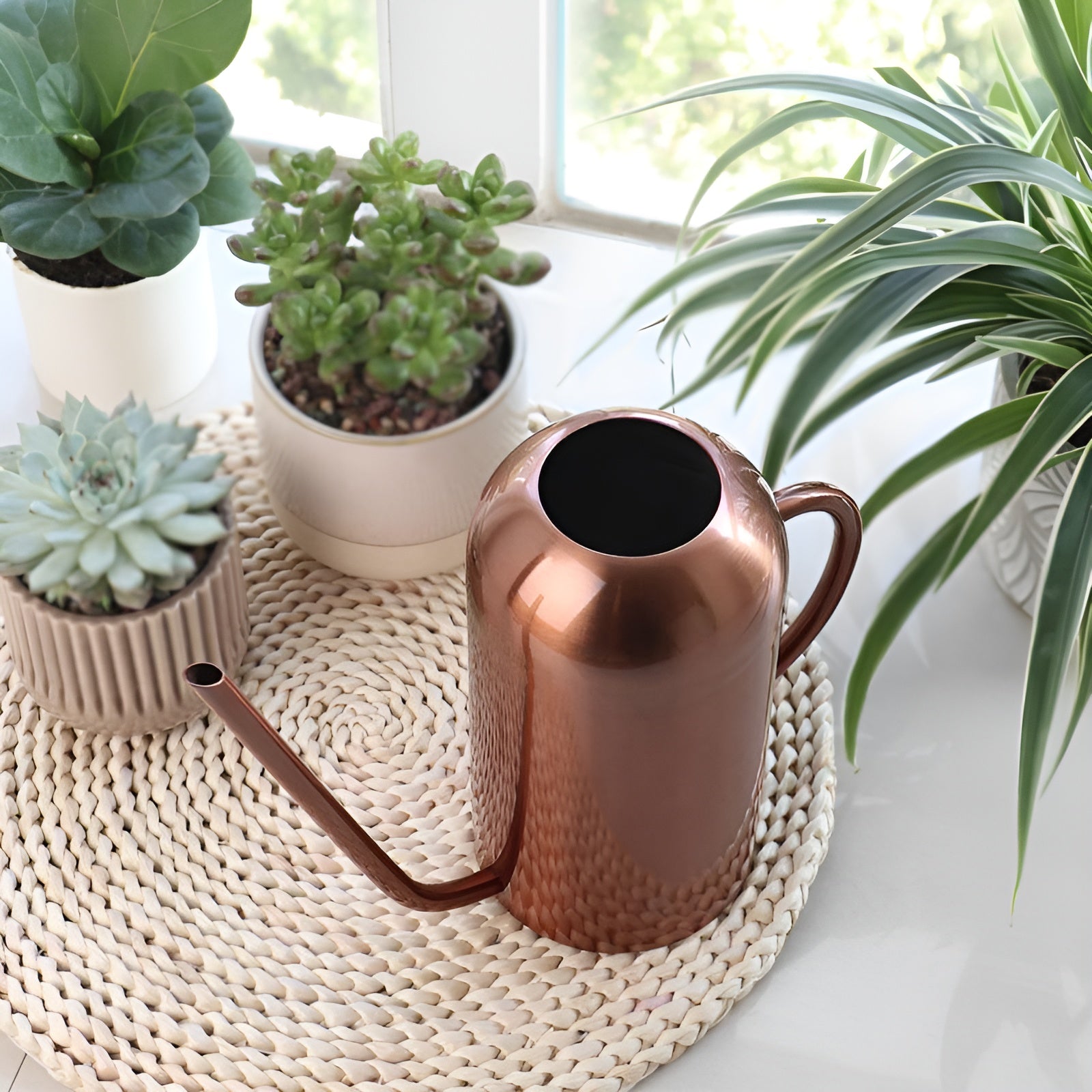 Precise Watering Tool for Healthy Plants – Breathable Growth Solution