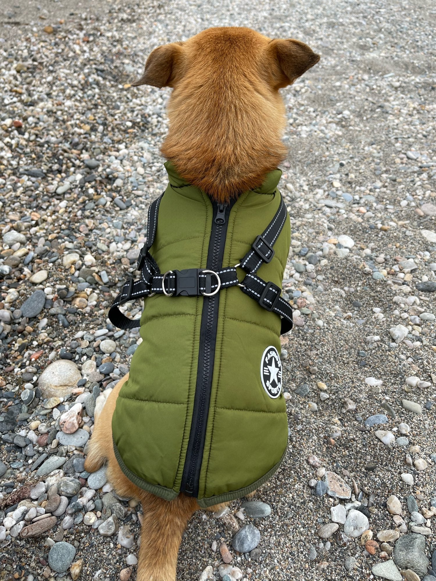 StormPaw™ Weather Jacket — Keep Your Dog Warm, Dry, and Effortlessly Controlled on Every Adventure