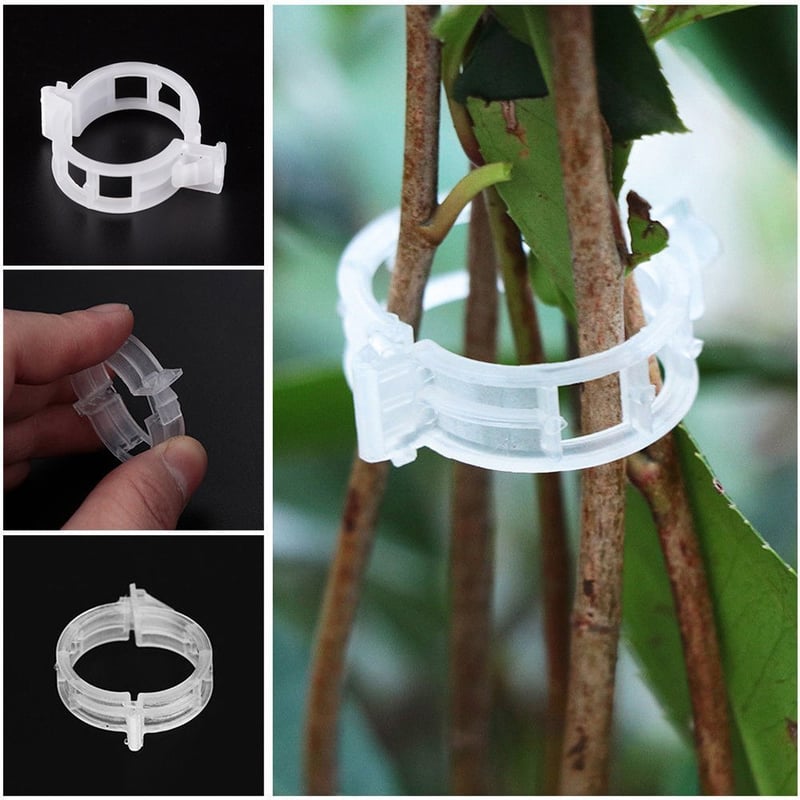VerduraClips™ — Transform Your Garden with Triple-Speed, Damage-Free Growth