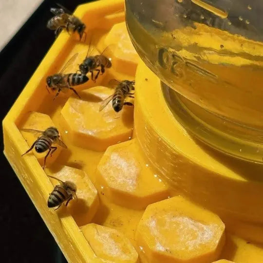 BeeSafeWell Bee Waterer with Safety Features
