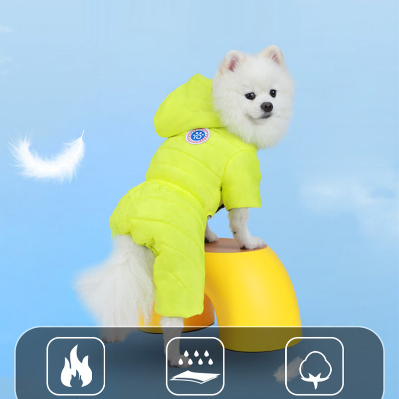 Transform Cold Winter Days into Cozy Comfort Moments for Your Dog