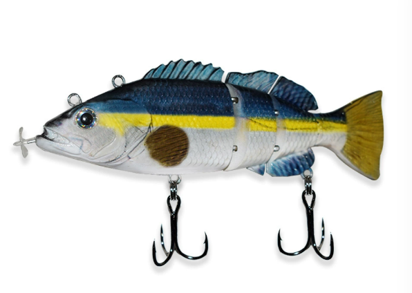 More Bites, Less Waiting – PredatorX Fishing Gear