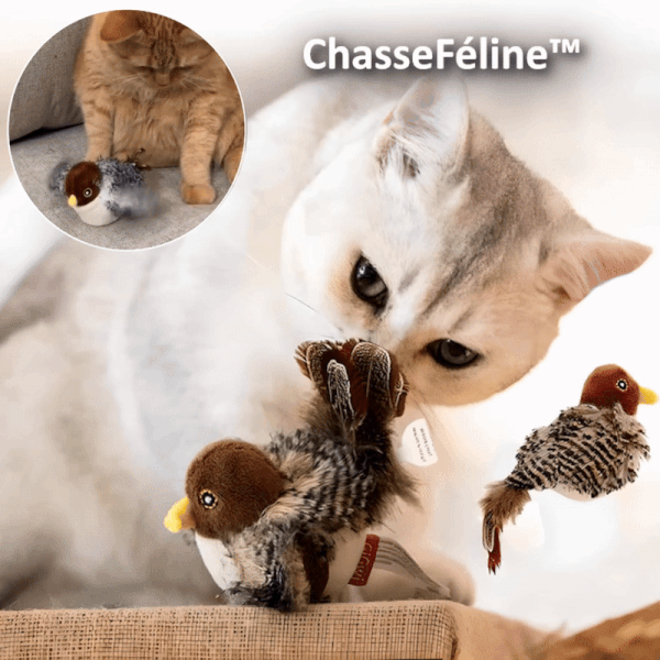 Feline Hunt™ | Awaken your cat's wild instinct!
