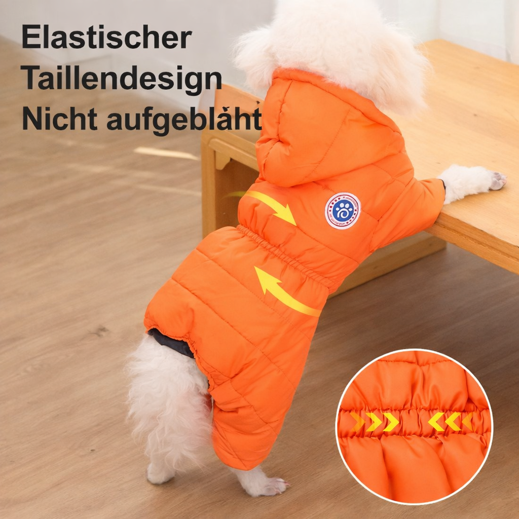 Transform Cold Winter Days into Cozy Comfort Moments for Your Dog