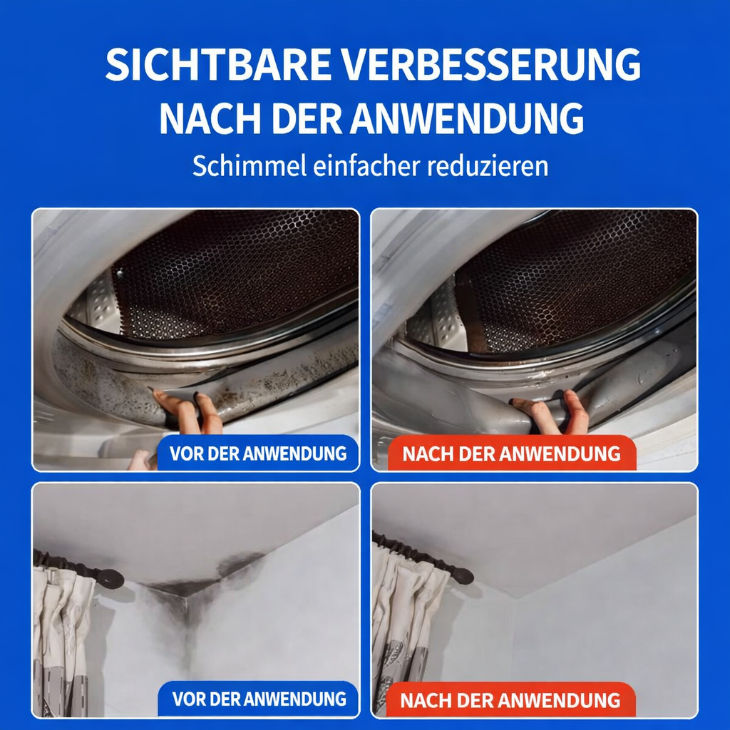 Breathe Freely in a Healthy, Mold-Free Home with PureGuard
