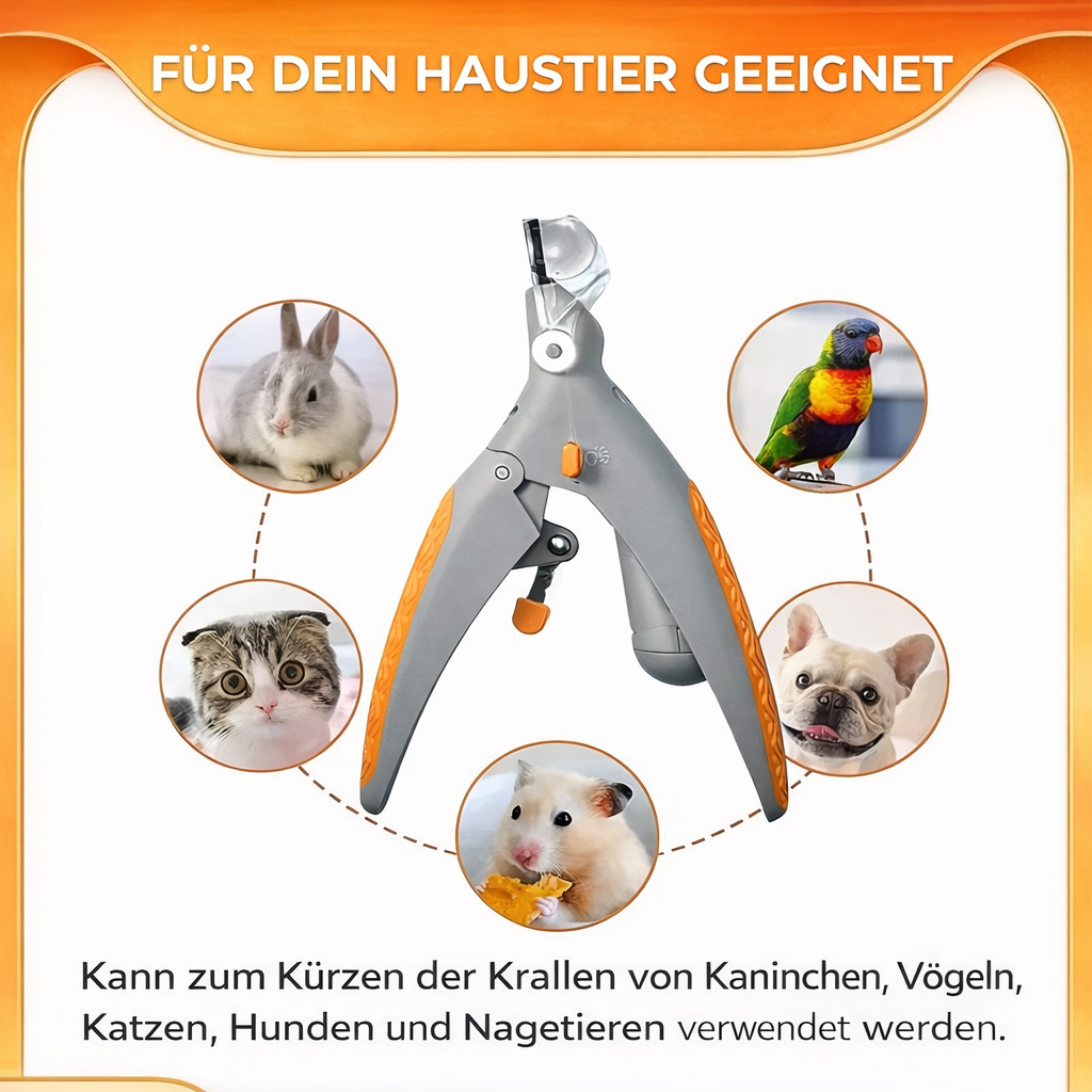 PawLume — Safe Grip for Stress-Free, Caring Grooming Moments