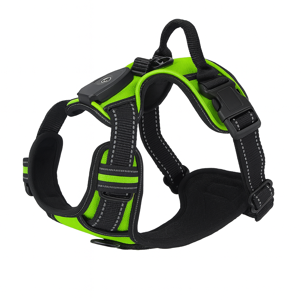 LED Dog Harness for Enhanced Nighttime Visibility