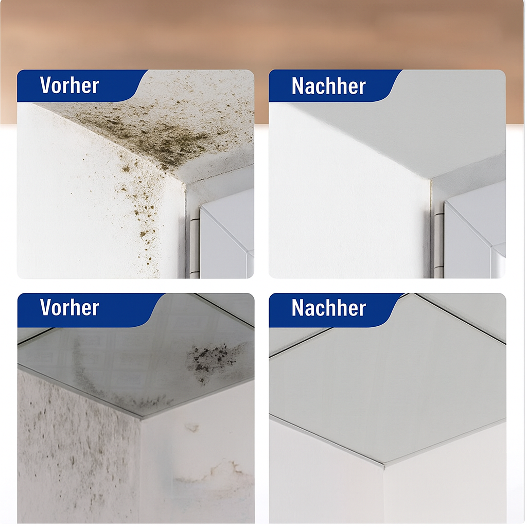 Mold Remover for Walls and Fabrics