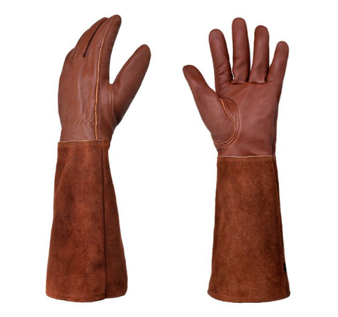 Hand Protection for Pain-Free Handling of Roses