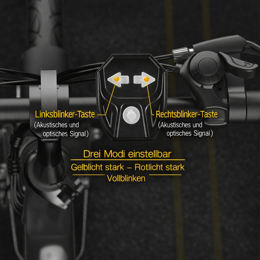 Clear and Safe Signal Light for Worry-Free Driving