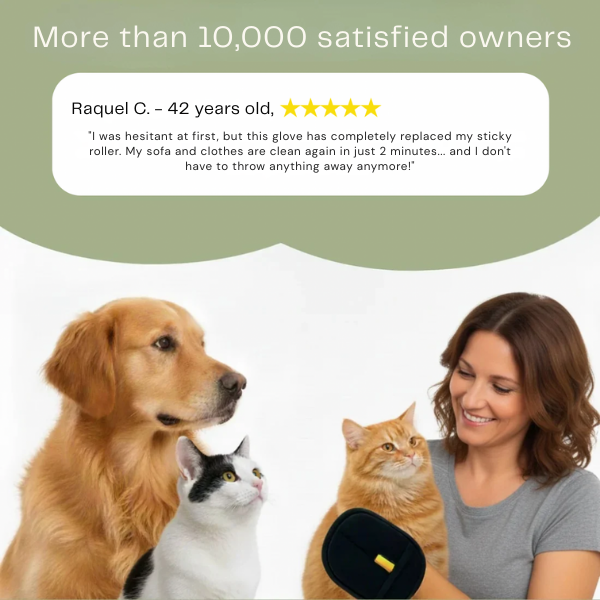 Rampluze™ — Instantly Destroy Pet Hair and Lint for a Spotless, Stress-Free Home