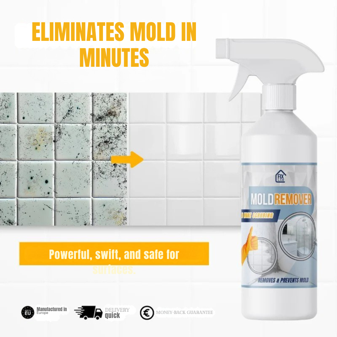 BactiShield™ — Erase Mold Fast for a Safer, Fresher Home