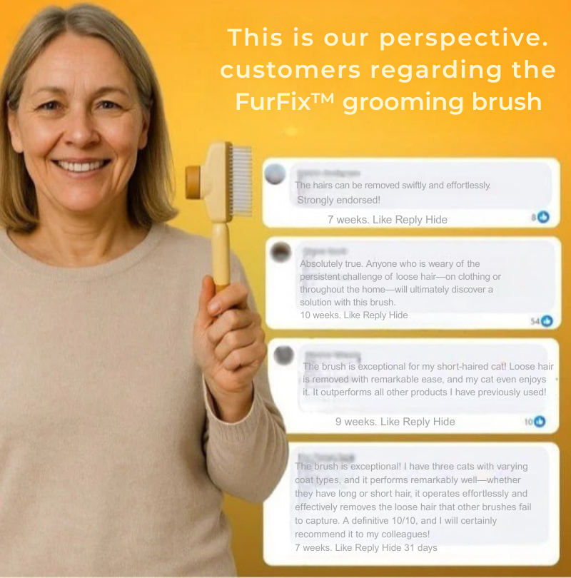 FelineSilk™ — Transform Shedding Struggles into Soothing, Fur-Free Moments