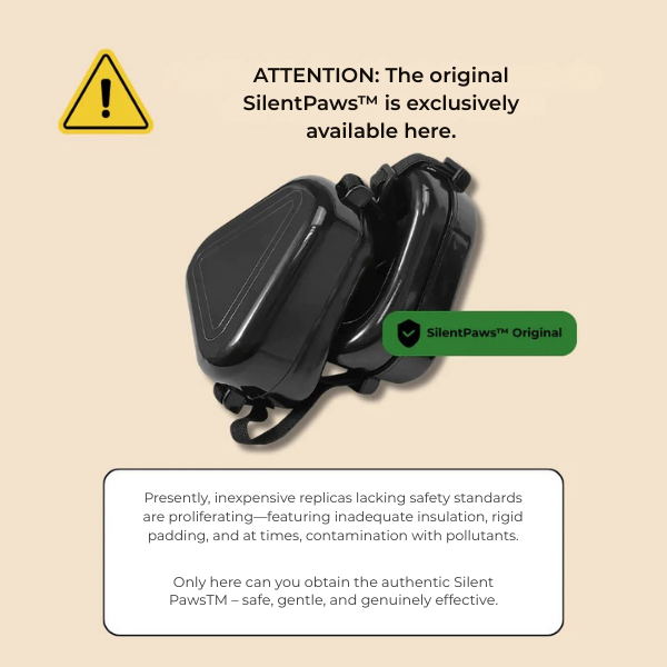 BlazeRay™ — Ignite Unforgettable Nights with Breathtaking Brilliance