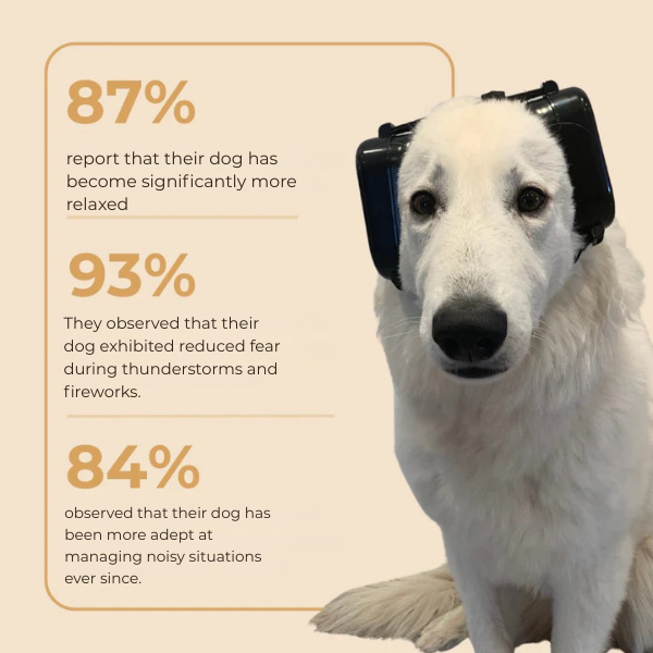 BlazeRay™ — Ignite Unforgettable Nights with Breathtaking Brilliance