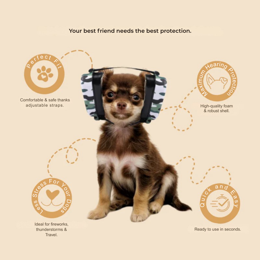 BlazeRay™ — Ignite Unforgettable Nights with Breathtaking Brilliance