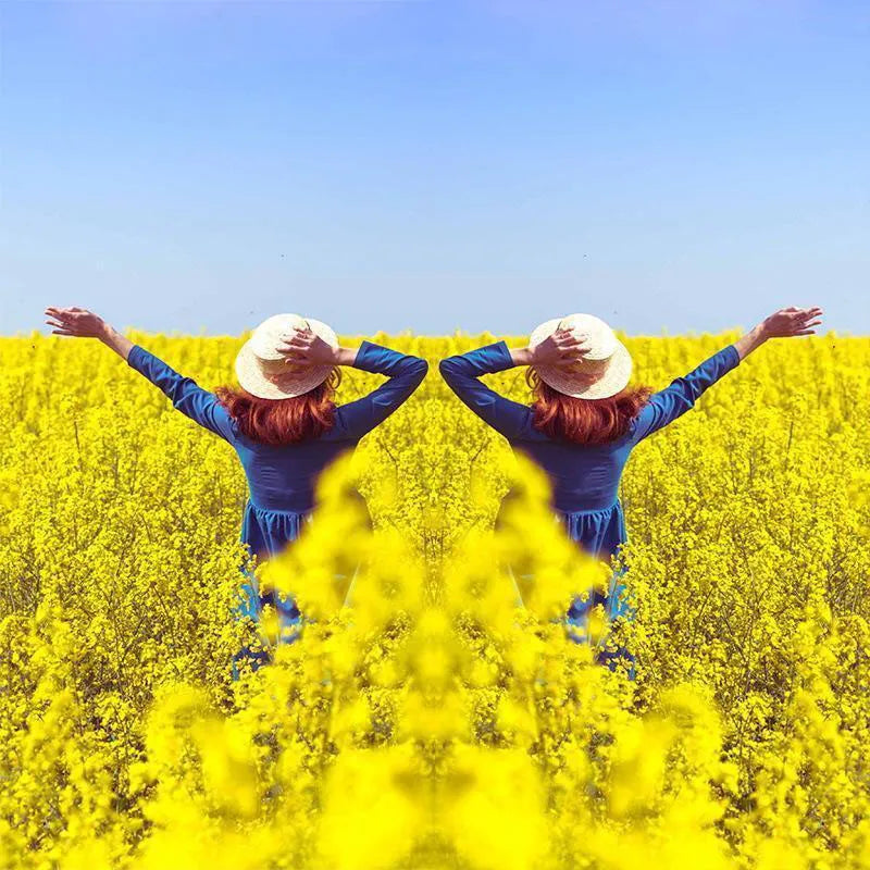 Quick Symmetrical Photos with MirrorShot Lens