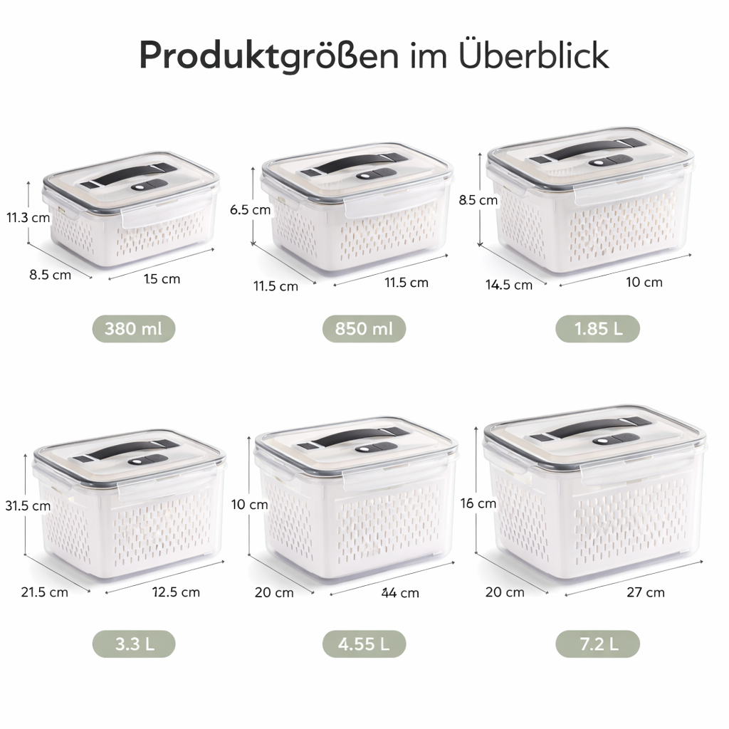 Food Storage Container for Freshness
