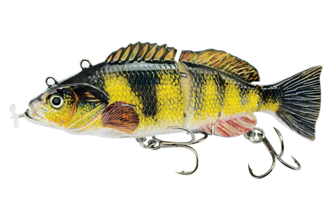 More Bites, Less Waiting – PredatorX Fishing Gear