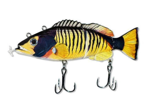 More Bites, Less Waiting – PredatorX Fishing Gear
