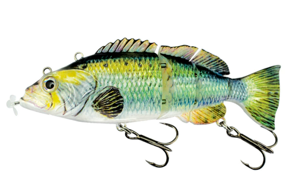 More Bites, Less Waiting – PredatorX Fishing Gear
