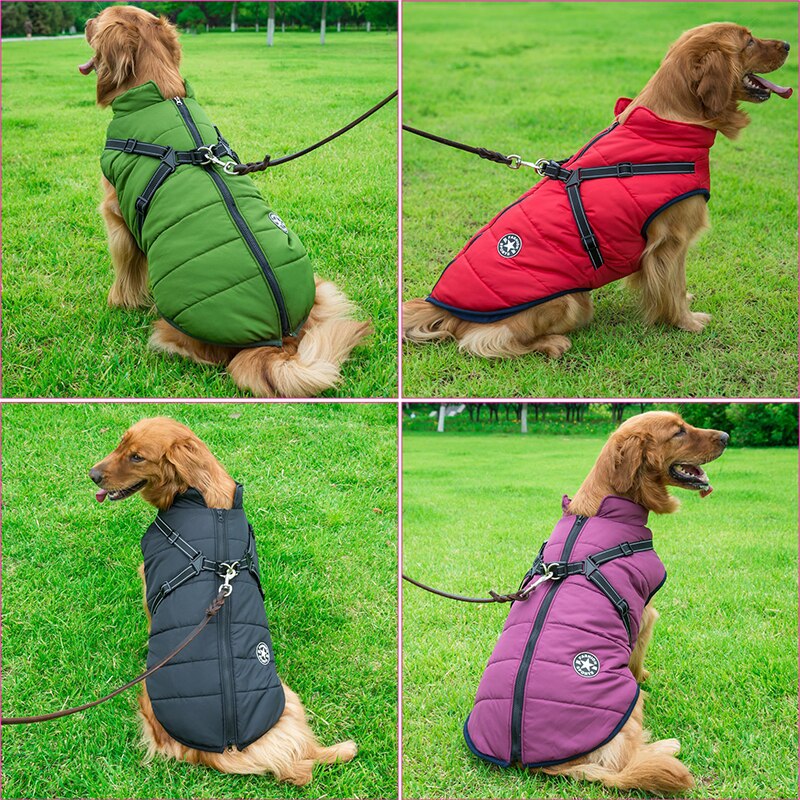 Dog Cold and Wet Protection – WarmPaws