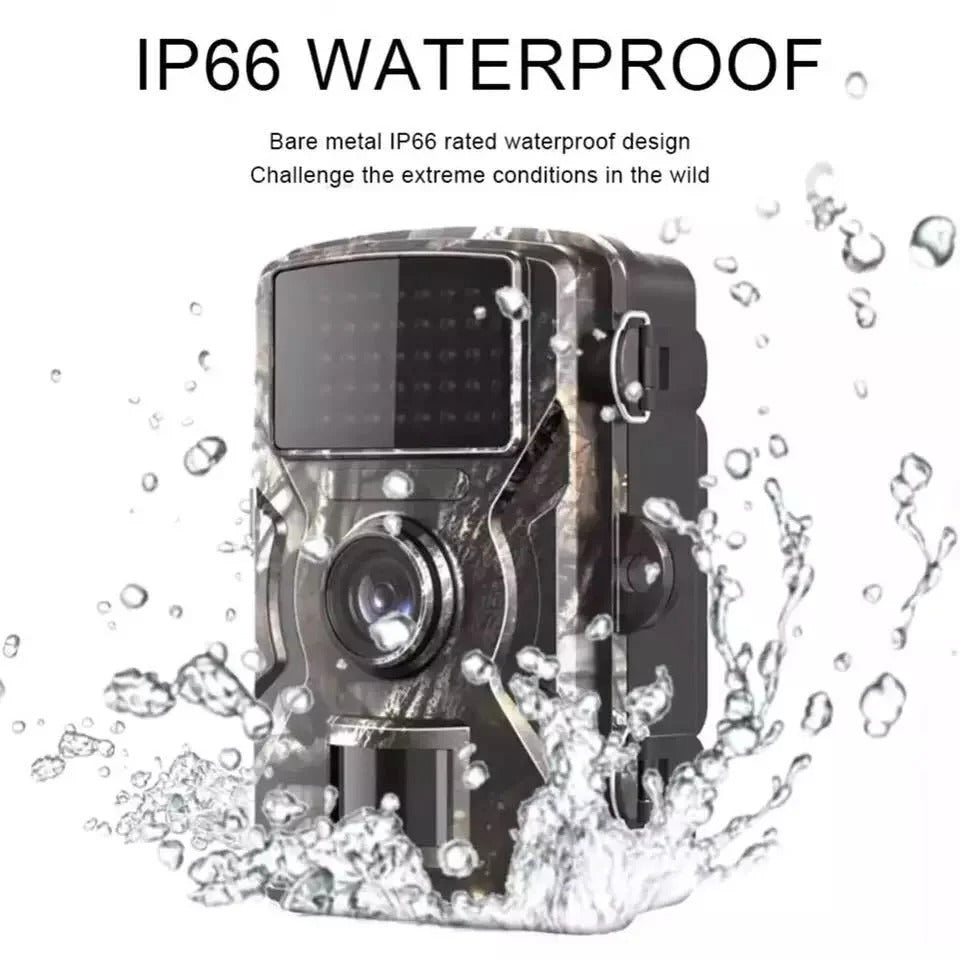 Stealthy Night Vision Game Camera Featuring Motion Detection
