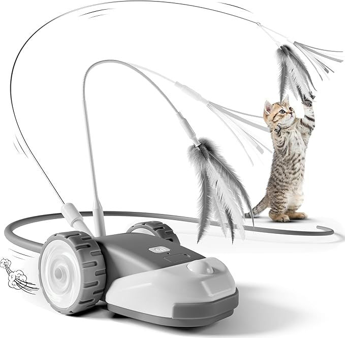 Unleash Wild Playtime for Your Cat with Engaging Fun Toys