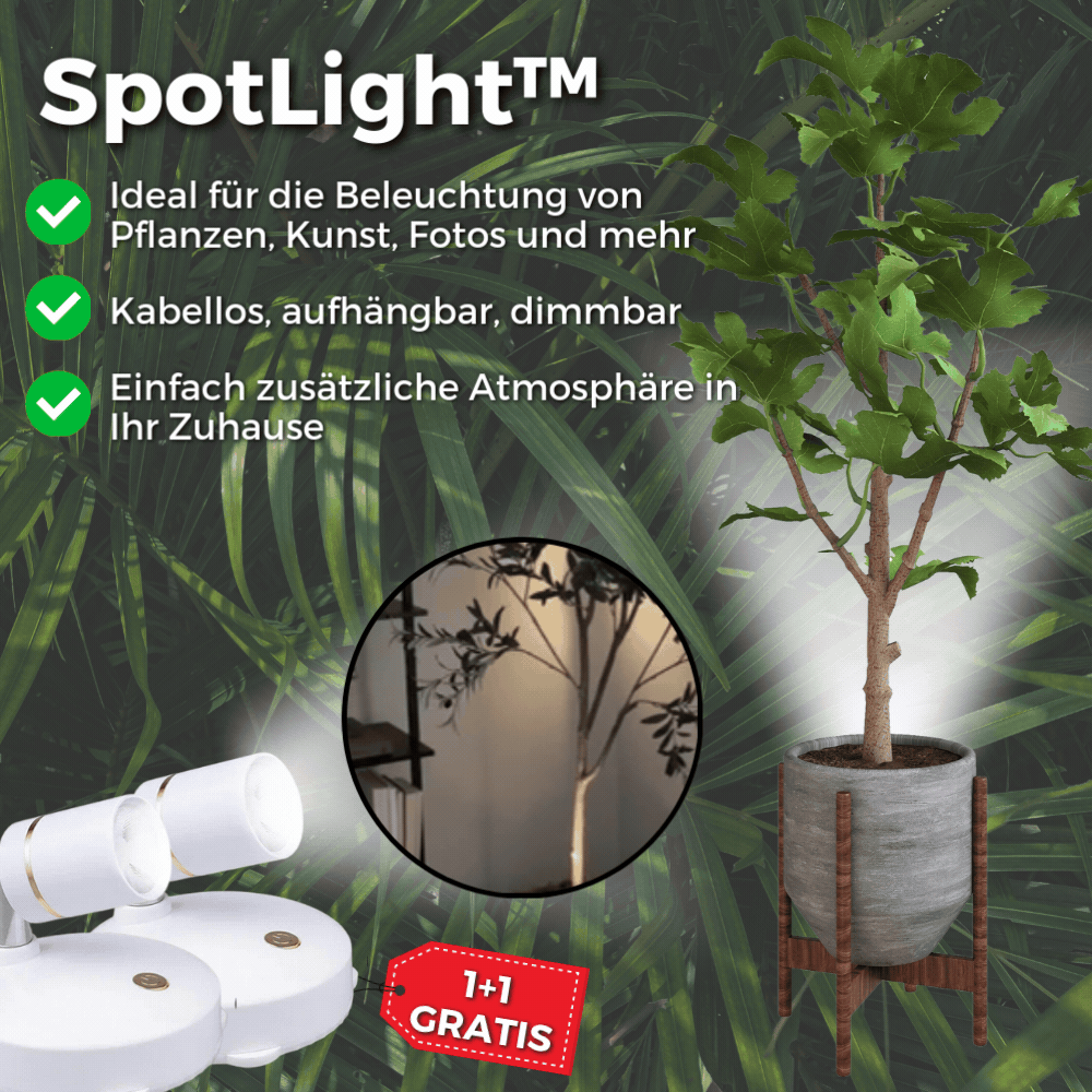 Wireless LED Lamp – Dimmable with Remote, Cord-Free