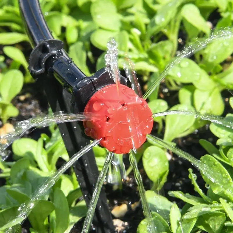 360 Degree Drip Irrigation System – Efficient Water Usage