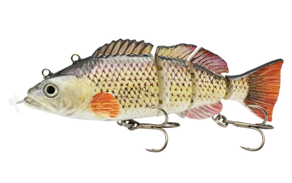 More Bites, Less Waiting – PredatorX Fishing Gear