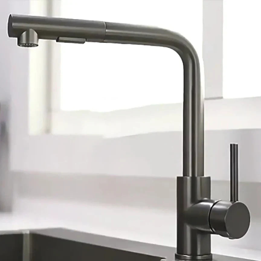 Stainless Steel Kitchen Faucet with Dual Spray Mode - Black Pull-Out