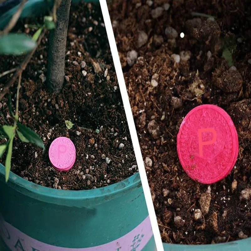 SoilBoost™️ Revive Plants in an Environmentally Friendly Way!