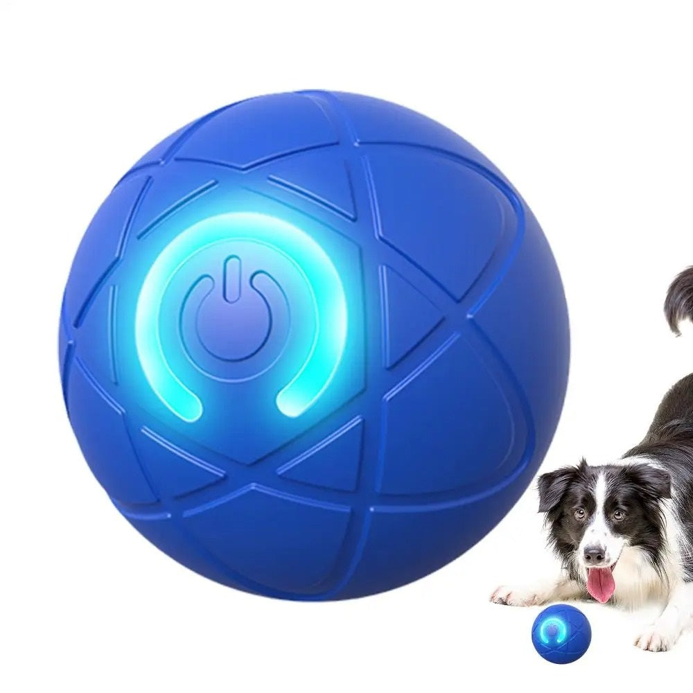 Endless Fun Pet Ball for Dogs and Cats