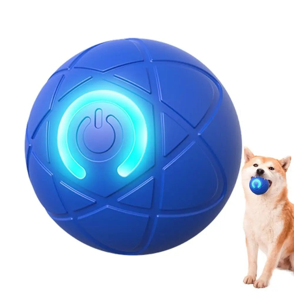Endless Fun Pet Ball for Dogs and Cats