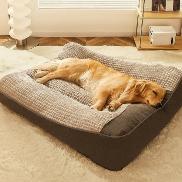 Large Orthopedic Dog Bed with Scratch-Resistant Design for Spinal Support